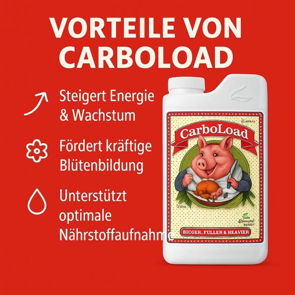CarboLoad Produkt zur Steigerung von Energie und Wachstum, Förderung der Blütenbildung und Unterstützung der Nährstoffaufnahme.