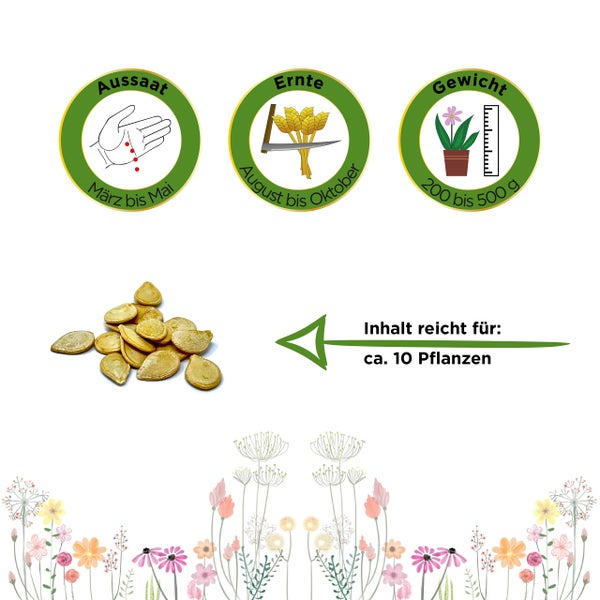 Symbole für Aussaat von März bis Mai, Ernte von August bis Oktober und Gewicht von 200 bis 500 Gramm. Inhalt reicht für circa 10 Pflanzen.