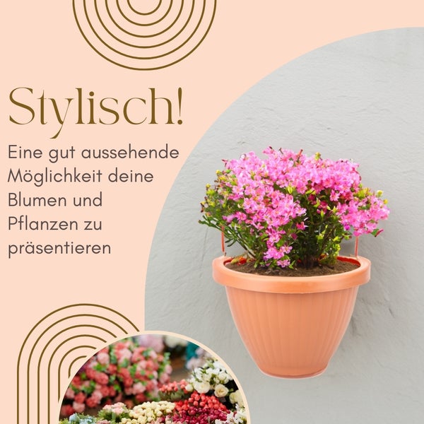 Blumentopf mit rosa Blüten an der Wand