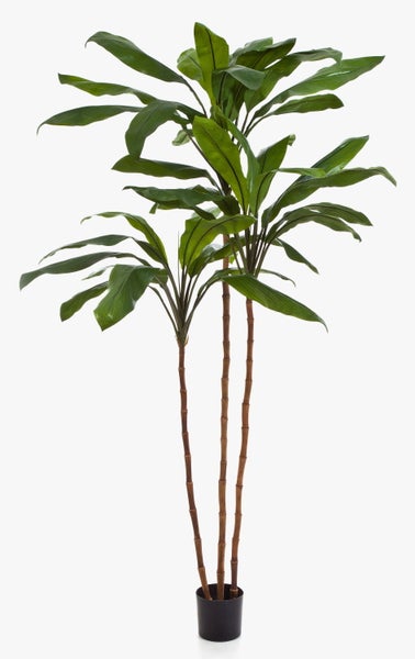 Künstliche Dracaena Pflanze mit drei Stämmen und grünen Blättern im schwarzen Topf.