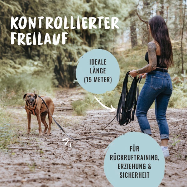 Ein Hund an einer 15 Meter langen Schleppleine im Wald für kontrollierten Freilauf und Rückruftraining.