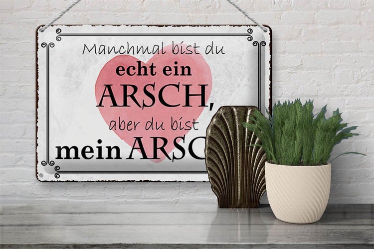Blechschild Spruch 30x20cm manchmal bist du ein ARSCH aber