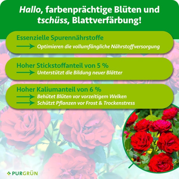 Purgrün Logo. Infografik zu Pflanzendünger mit Spurennährstoffen, 5 Prozent Stickstoff für Blätter und 6 Prozent Kalium für Blüten sowie Frostschutz.