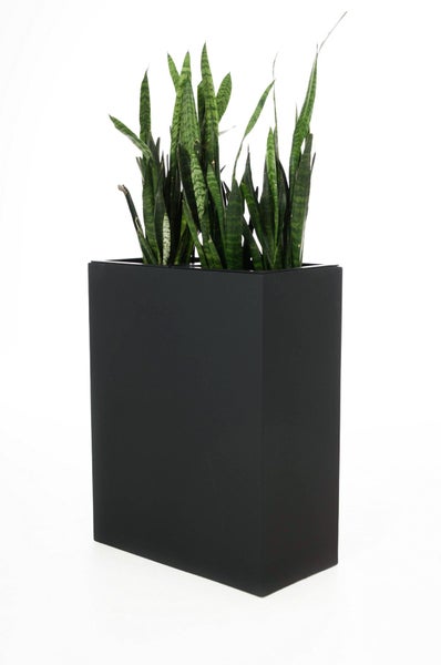 Schwarzer, hoher rechteckiger Pflanzkübel mit einer Sansevieria Pflanze.
