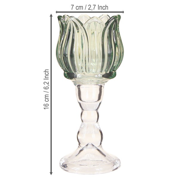 Teelichthalter aus Glas in Tulpenform, Höhe 16 Zentimeter, Breite 7 Zentimeter.
