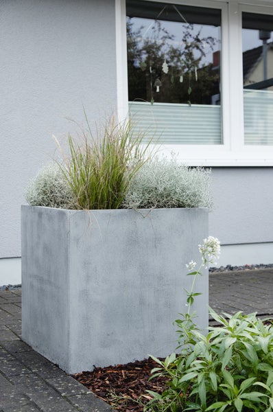 Quadratischer Pflanzkübel in Betonoptik mit Gräsern auf einer gepflasterten Terrasse vor einer Hauswand.
