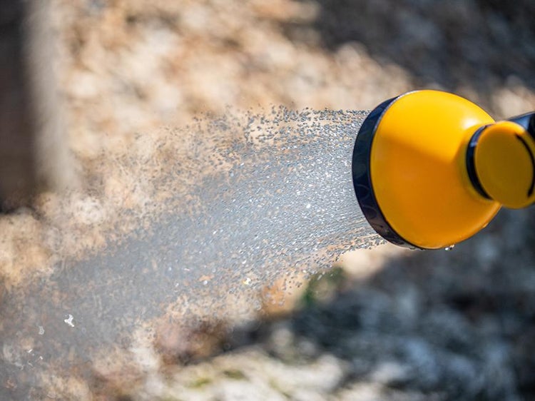 Wandgestaltung mit geometrischer Tapete, Pflanze und dekorativen Büchern auf einem Holztisch.