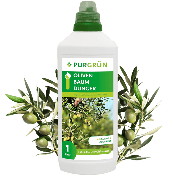 Purgrün Olivenbaum-Dünger 1 Liter