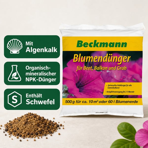 Dreieckige Multitool-Raspel