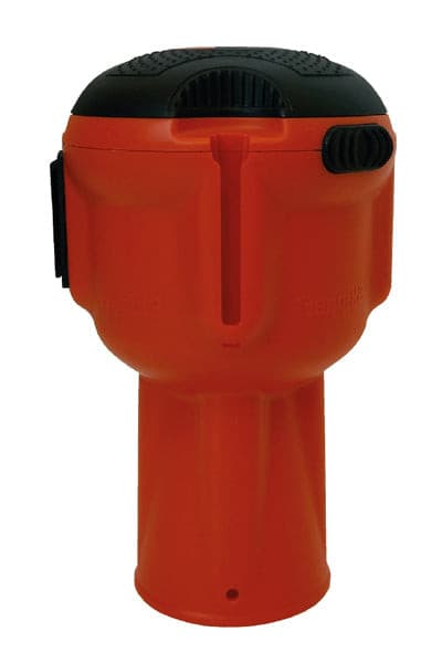 Nahaufnahme einer Thujahecke mit grünen Blättern und braunen Zweigen.