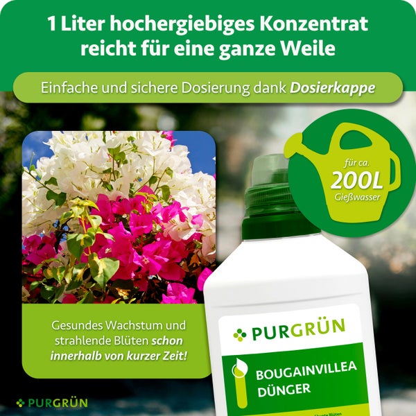 Eine Flasche PURGRÜN Bougainvillea Dünger Konzentrat mit Dosierkappe für zweihundert Liter Gießwasser für gesundes Pflanzenwachstum.