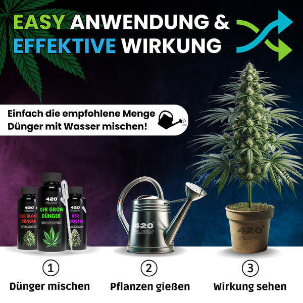 Infografik zur Anwendung von 420 Flow Pflanzendünger: Dünger mit Wasser mischen, Pflanze gießen und das Wachstum beobachten.