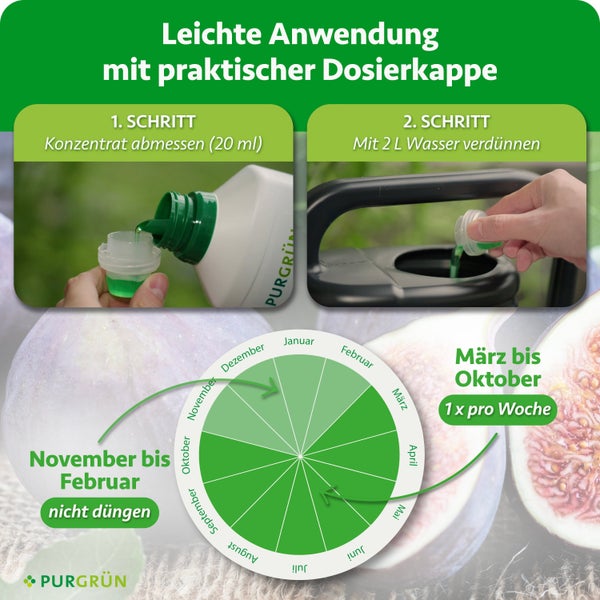 Anwendungshinweise für Purgrün Dünger mit Dosierkappe und grafischem Düngekalender für die optimale Anwendung von März bis Oktober.