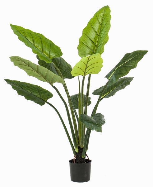 Künstliche Alocasia mit großen grünen Blättern im schwarzen Topf.