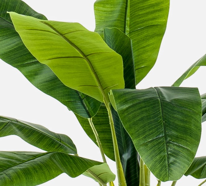 Nahaufnahme der großen grünen Blätter einer künstlichen Bananenpflanze mit realistischer Blattstruktur.