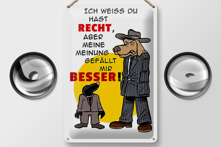 Blechschild Spruch 20x30cm meine Meinung gefällt mir besser