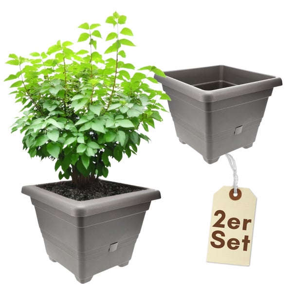 Blumentopfset, bestehend aus zwei quadratischen Kunststoffblumentöpfen, einer mit Bepflanzung