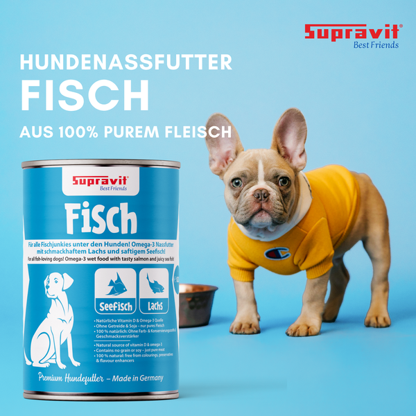 Supravit Fisch Hundenassfutter mit Lachs und Seefisch neben einem Hund