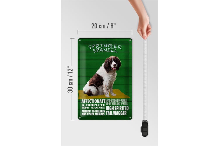 Blechschild Spruch 20x30cm Springer Spaniel Hund friendly
