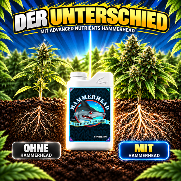 Produktwerbung für Advanced Nutrients Hammerhead Dünger zur Pflanzenstärkung und Wurzelbildung im Vergleich zur Anwendung ohne Dünger.