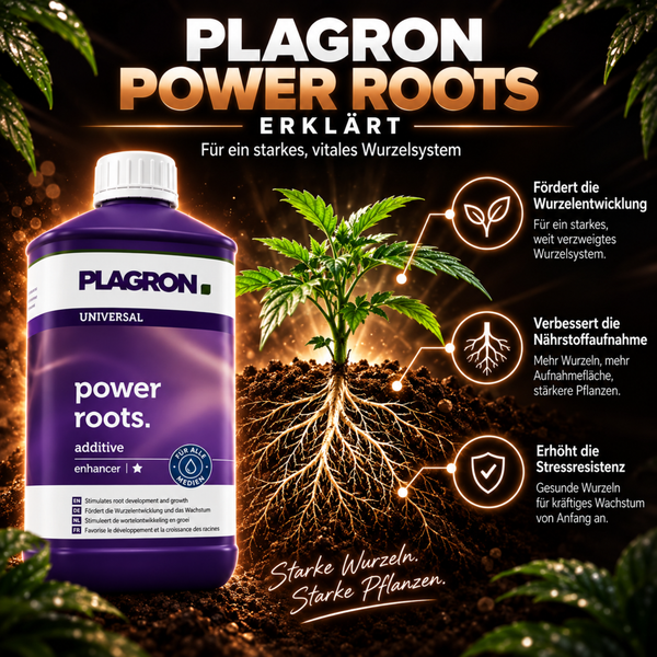 Plagron Power Roots Wurzelstimulator in einer Flasche mit Grafiken zur Wirkung auf Pflanzenwachstum, Wurzelentwicklung und Stressresistenz.