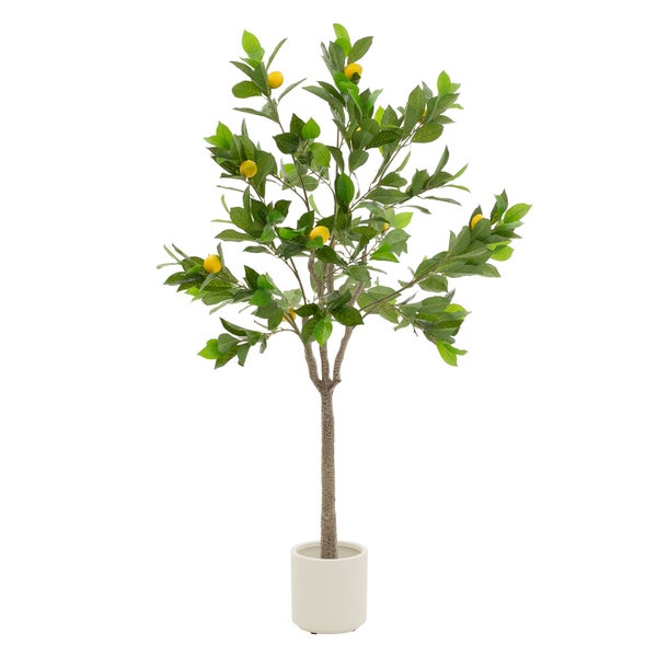 Dekorativer Zitronenbaum im Topf zur Innendekoration