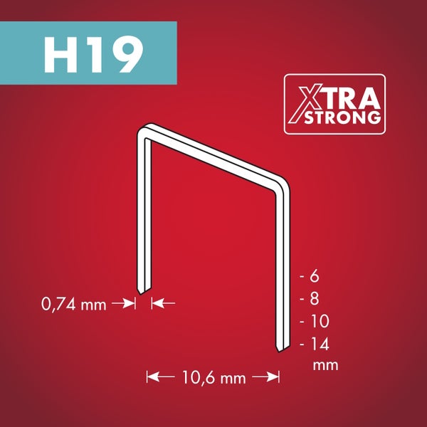 Tackerklammer Typ H19 mit Symbol für extra starke Qualität. Breite 10,6 Millimeter, Drahtstärke 0,74 Millimeter, Längen 6, 8, 10 und 14 Millimeter.