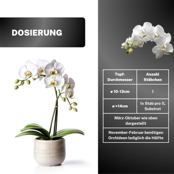 Greenyp 60x Orchideen Düngestäbchen I Universal NPK Orchideendünger für kraftvolle Blüten I Langzeitdünger mit Extra Eisen und 3 Monate Düngekraft.