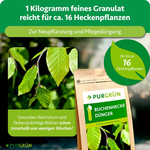 Purgrün Buchenhecke-Dünger, 1 Kilogramm feines Granulat für circa 16 Heckenpflanzen, zur Neupflanzung und Pflegedüngung für gesundes Wachstum.