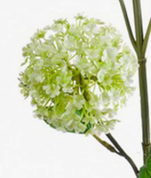 Künstliche Efeutute mit gemusterten Blättern an einem grünen Zweig.