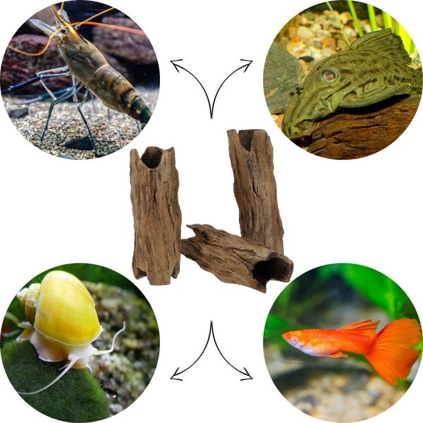 Aquarium Deko Höhle Röhre Aquariendeko Wurzel Ast Holz Ablaichhöhle Ablaichröhre Fisch Krebs Wels Laichröhre Tonröhre Laichhöhle