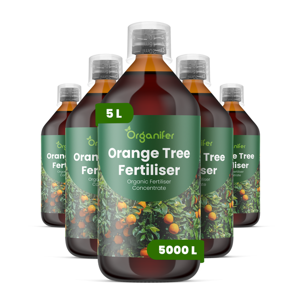 Organifer Orangenbaum Dünger, organisches Düngerkonzentrat, 5 Liter für insgesamt 5000 Liter Düngemittel.