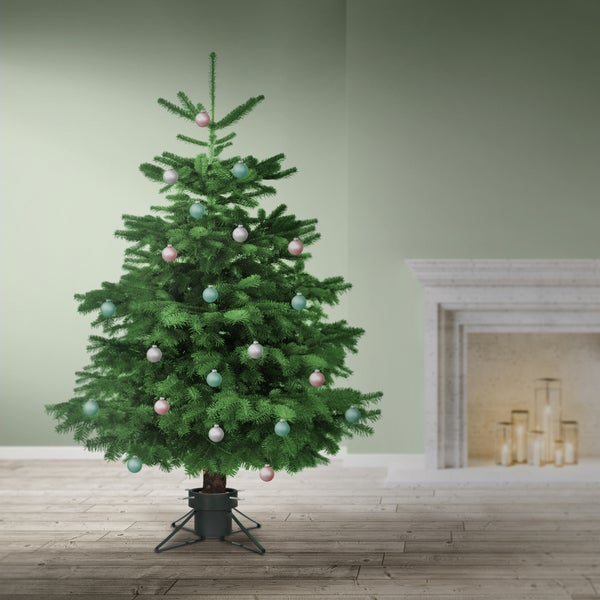 ECD Germany Weihnachtsbaumständer mit Wasserschale und 4 Feststellschrauben, Dunkelgrün, Metall Christbaumständer, Tannenbaumständer für Bäume bis 210 cm Höhe, Sternförmige Weihnachtsbaum Ständer