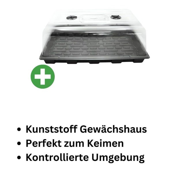 Gewächshaus für Balkon & Zimmer 59x39x24 cm mit Lüftungsschieber – Optimale Pflanzenzucht, Licht & Klima für Gesunde Pflanzen