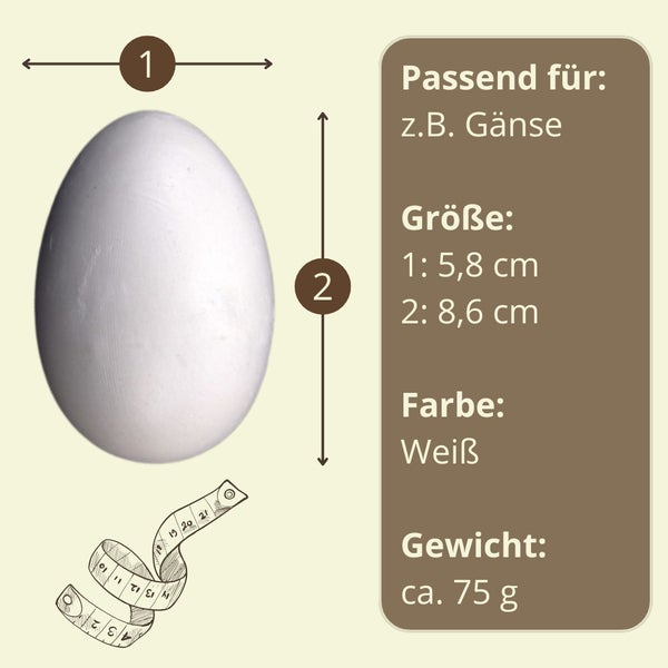 Gänseei mit Größenangaben und Gewichtsangabe