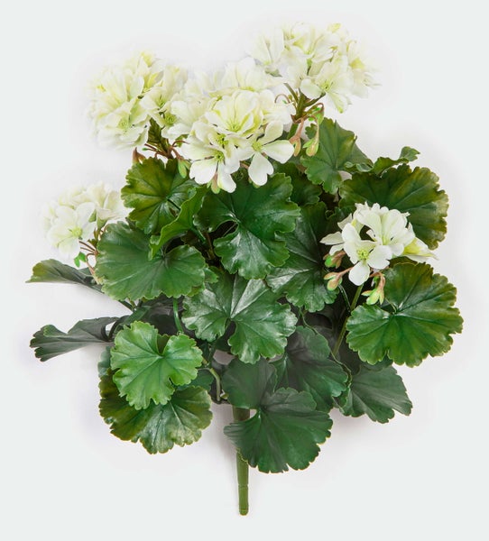Künstliche Geranie mit weißen Blüten und grünen Blättern