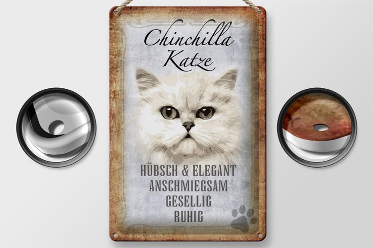 Blechschild Spruch 20x30cm Chinchilla Katze hübsch elegant