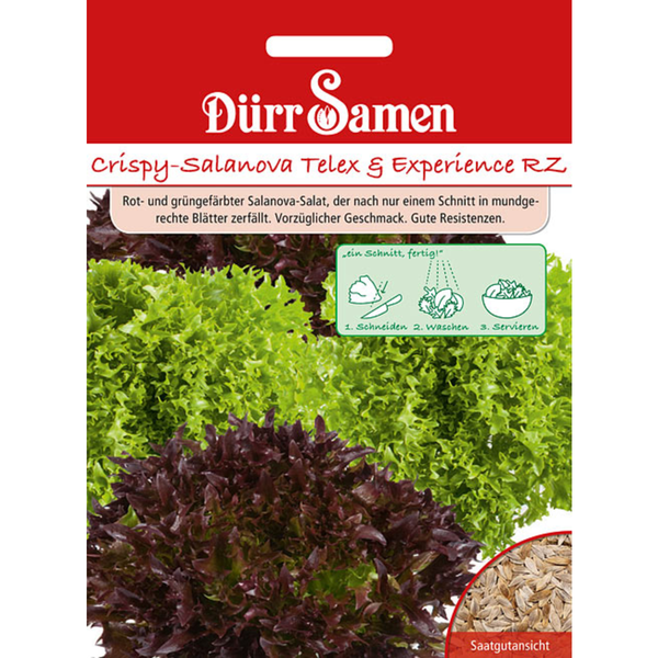 Quadratisches Zierkissen