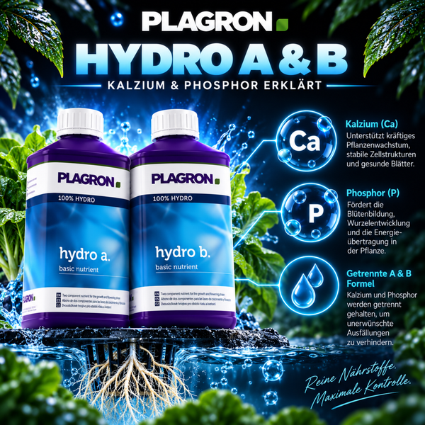 Plagron Hydro A und B Pflanzennährstoff für Hydrokulturen zur Förderung von Kalzium und Phosphor für starkes Pflanzenwachstum.