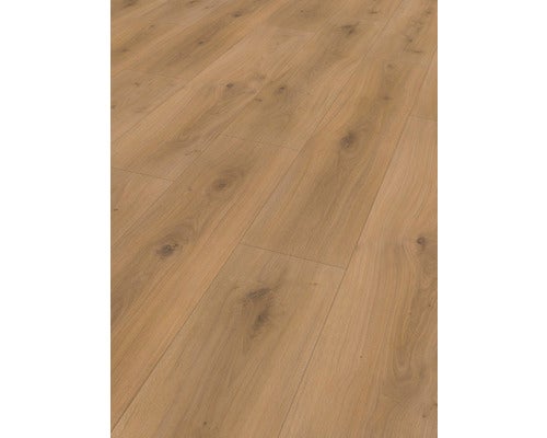 Laminat 8.0 Eiche Horizont natur