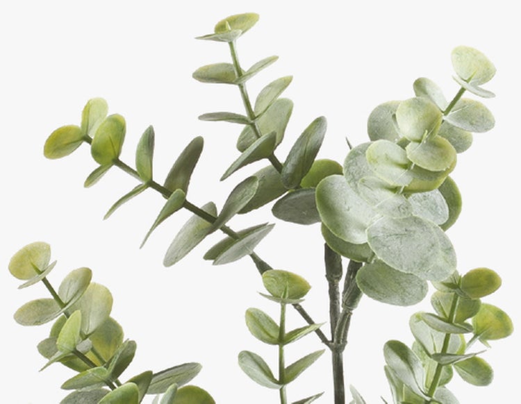 Kunstzweig Eukalyptus Zweig GIV, grün-grau, 65cm - Deko Eucalyptus