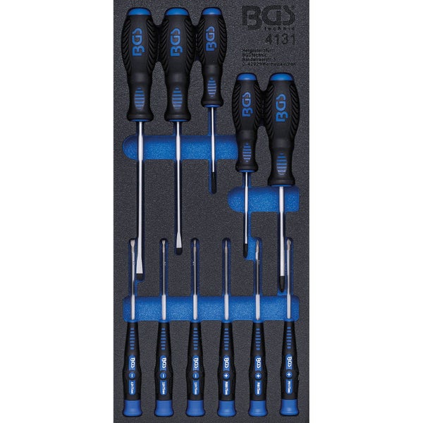 BGS Technic Schraubendrehersatz mit Schlitz- und Kreuzschlitzschraubendrehern in Werkzeugaufbewahrung