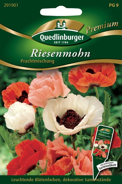 Quedlinburger Samenpackung Riesenmohn Prachtmischung mit Abbildung verschiedenfarbiger Mohnblüten und praktischem Sortenetikett.