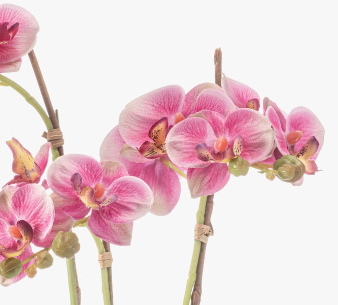 Künstliche Orchidee Phalaenopsis mit rosa Blüten und Knospen an einem Zweig für die Dekoration.