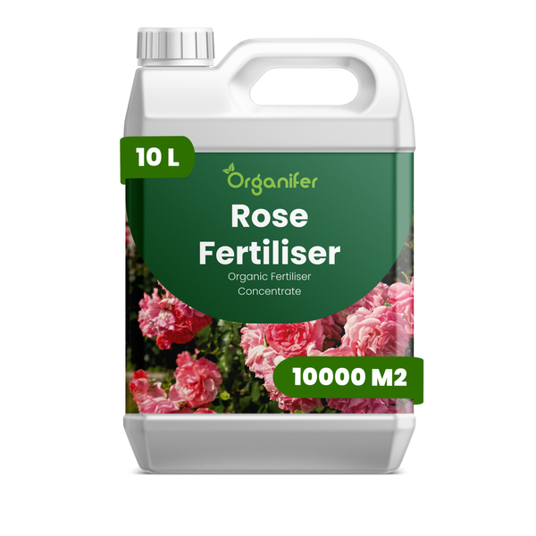 Organifer Rosen-Dünger Konzentrat, organischer Flüssigdünger, 10 Liter für 10.000 Quadratmeter.