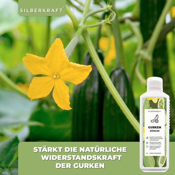 SILBERKRAFT Gurken Dünger – Für Gurkenpflanzen – NPK Flüssigdünger – 1 Liter