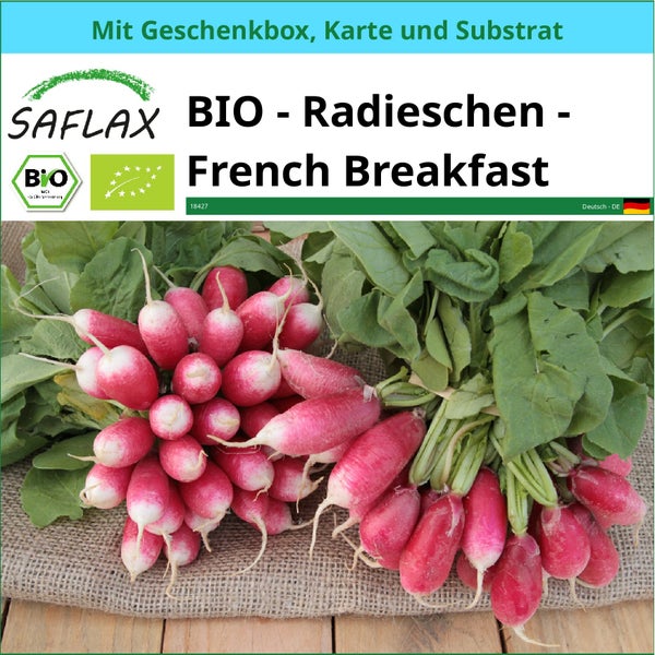 SAFLAX Geschenk Set - BIO - Radieschen - French Breakfast - Raphanus sativus - 150 Samen - Mit Geschenkbox, Versandaufkleber, Geschenkkarte und Anzuchtsubstrat