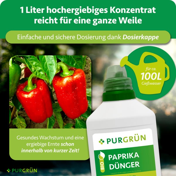 1 Liter Purgrün Paprika Dünger Konzentrat mit Dosierkappe für circa 100 Liter Gießwasser, wachsende rote Paprika und Purgrün Logo.