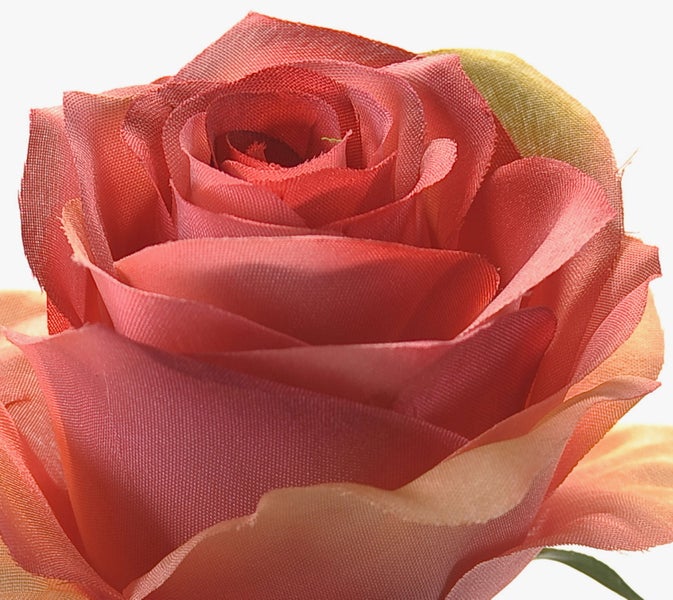 Nahaufnahme einer lachsfarbenen künstlichen Rose aus Textilgewebe für die Dekoration.