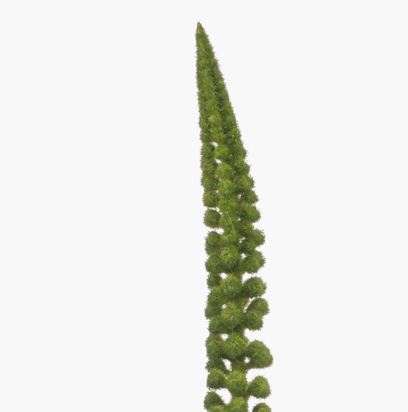 Künstliche Hängepflanze Pilea mit grün-weiß gemusterten Blättern und Kunststoffstiel.